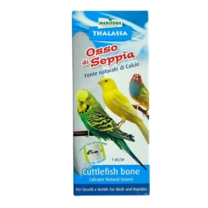 Thalassa Osso di Seppia Uccelli Manitoba bianco con gancio in metallo per