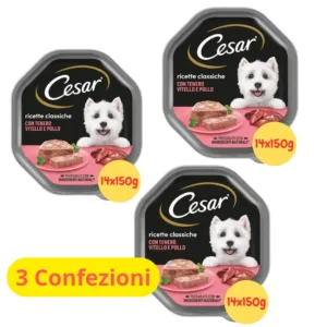 Confezioni di paté Cesar per cani gusto vitello e pollo in vaschette monodose.