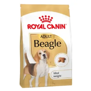 Royal Canin Beagle Adult Crocchette in confezione per cani adulti
