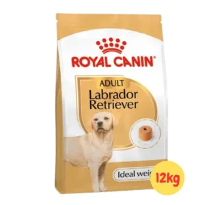 Royal Canin Labrador Retriever Adult alimento secco per cani.
