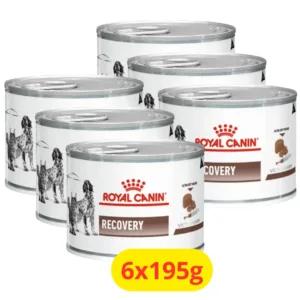 Royal Canin Recovery Veterinary lattine per cani e gatti
